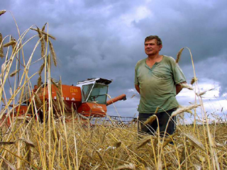 В Ширинском районе отметят День работников сельского хозяйства