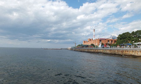 В порту Владивостока разлили 200 килограммов мазута