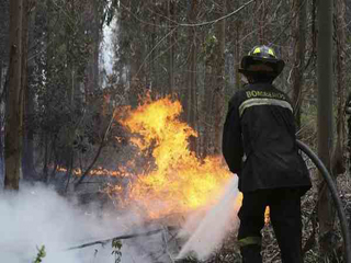 В Хакасии проверят готовность муниципалитетов к пожароопасному сезону