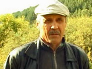  Стали известны вандалы, погубившие саженцы кедра в Хакасии