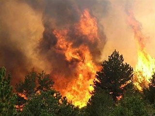 Площадь природных пожаров в России удвоилась по сравнению с 2010 годом