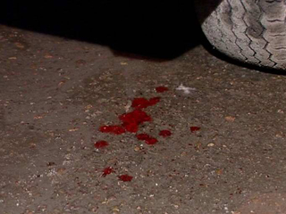 На трассе в Хакасии водитель сбил пешехода