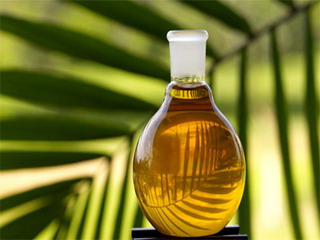 Китайцы гнали канцерогенное пальмовое масло из помоев