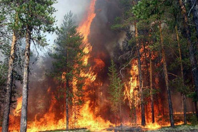 Два лесных пожара в Хакасии - итог минувших праздников