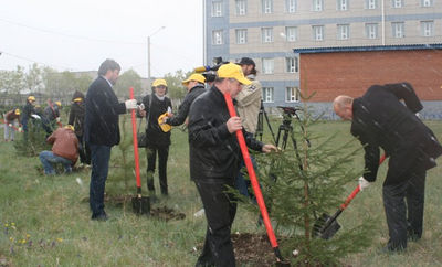 Хакасия высадила десятки тысяч молодых деревьев