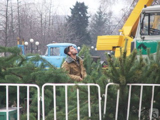 В Абакане начался монтаж главной новогодней елки