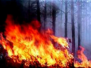 В Хакасии произошло два лесных пожара