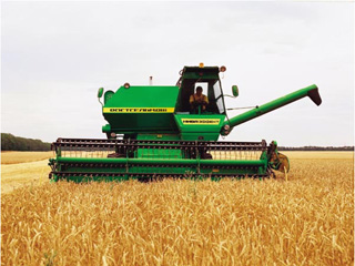 В Хакасии собрали рекордный урожай зерновых