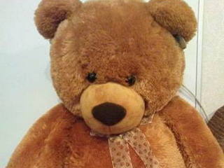 Символом российских игрушек выбран медведь-сангвиник