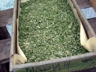 Хакасские наркополицейские изъяли особо крупную партию наркотиков