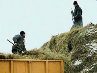  В Хакасии фермер погиб при заготовке сена