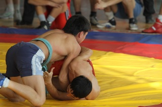 В Хакасии состоялся лично-командный чемпионат по борьбе курес