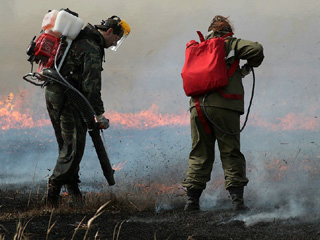 В Хакасии создадут резервную группу по тушению лесных пожаров