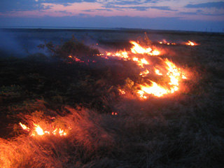 Пожарные Абакана не могут добраться до горящей в степи травы
