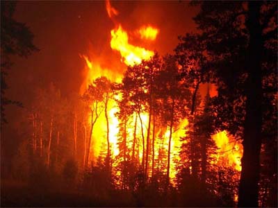Тайга горит в окрестностях Коммунара