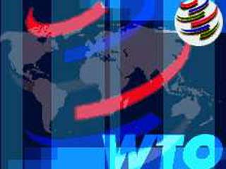 Переговоры о вступлении Таможенного союза в ВТО начнутся в 2010 году