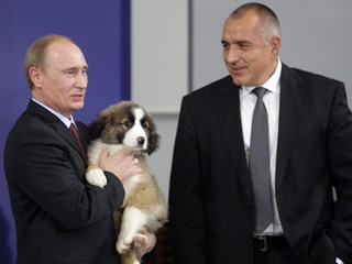 Путин попросил россиян придумать имя своей собаки