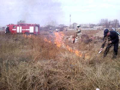 Пожарные сжигают траву под контролем