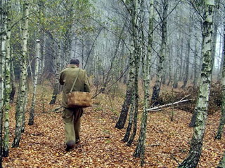 В Хакасии спасатели нашли в лесу тело сборщика ореха