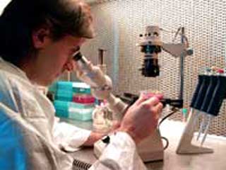  В Кемеровской области открывается лаборатория по клонированию