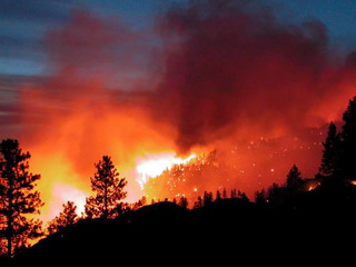 В Хакасии ожидаются лесные пожары - МЧС