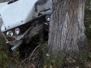 В Хакасии водитель на "Жигулях" врезался в дерево
