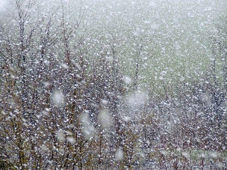В Хакасию придут холода и снег