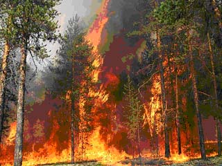 Лесной пожар в США угрожает Национальной ядерной лаборатории