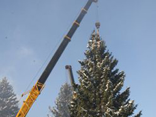 В Саяногорске установили новогоднюю ёлку
