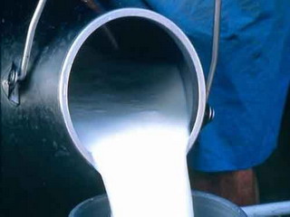 В Хакасии увеличилось производство молока