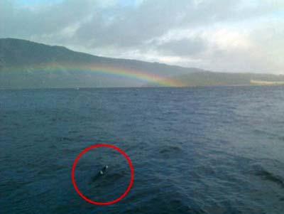 В озере Лох-Несс рыбак обнаружил объект, похожий на "Несси" (ФОТО)