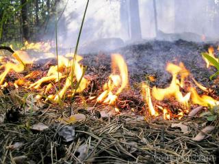 В Хакасии ликвидировали лесной пожар
