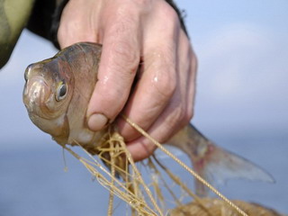 Верховный Суд Хакасии рассмотрит законность платы за любительское рыболовство