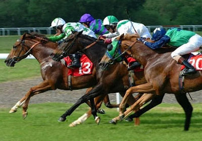 Завтра в Абакане состоится открытие финала Летних сельских конно-спортивных соревнований