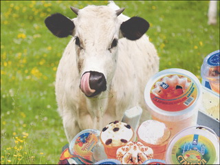 Парламент Хакасии решил поддержать производителей молока