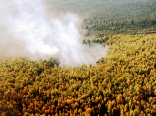 Авиация не обнаружила новых пожаров в Хакасии