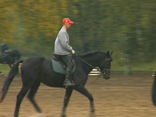 Сегодня в Хакасии открывается конно-спортивная школа