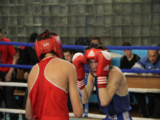 В Хакасии определили чемпионов республики по боксу (фото)