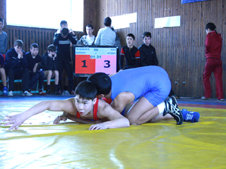 В Хакасии завершился чемпионат республики по вольной борьбе (фото)