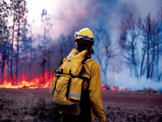 Более 40 тыс. га леса горит в Сибири