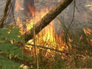 В выходные в Хакасии дважды горел лес