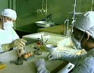 ВОЗ объявила о начале пандемии "свиного гриппа"