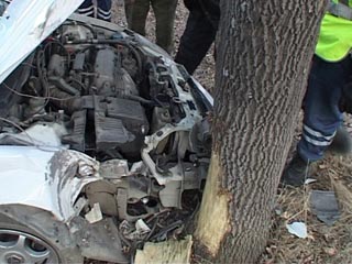 В Хакасии пьяный водитель врезался в дерево