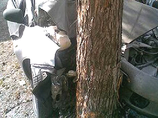 В Хакасии пьяный водитель врезался в дерево