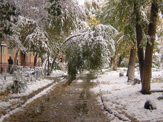  Снегопад в Хакасии может вызвать ЧС