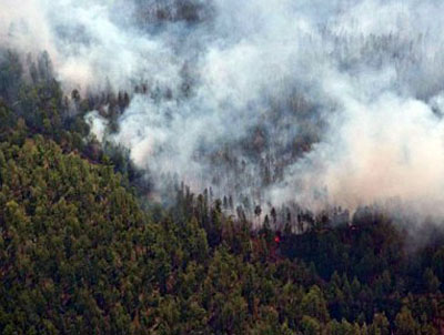 Гроза вызвала лесной пожар в Хакасии