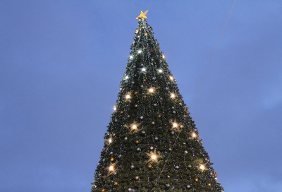 В преддверии Нового 2015 года в Абакане  установят 25-метровую искуственную елку 