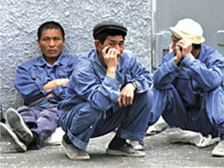 Приток китайской рабочей силы в Хакасию сократился