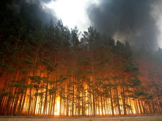 Сибирь охватили лесные пожары