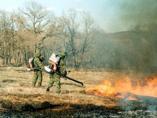 Хакасия получит 70 млн рублей на борьбу с лесными пожарами